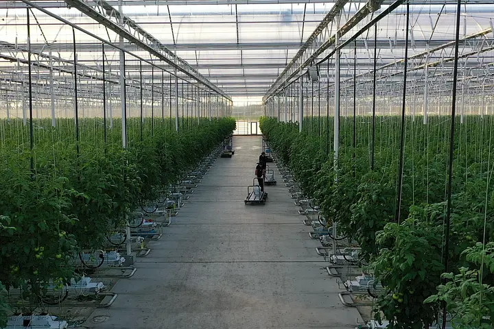 株式会社誠和。