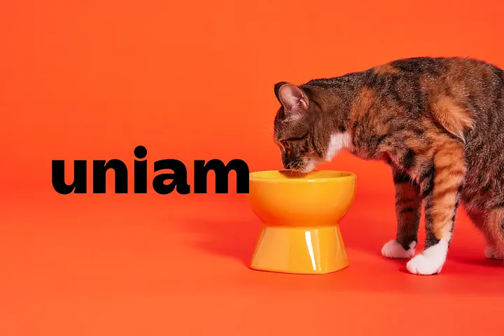 株式会社uniam