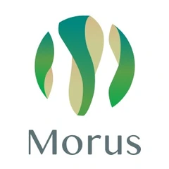 Morus株式会社