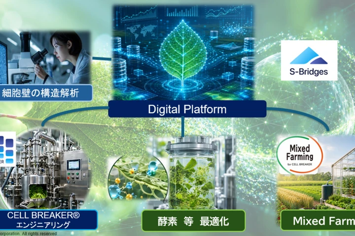 S-Bridges株式会社