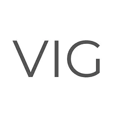 株式会社VIG