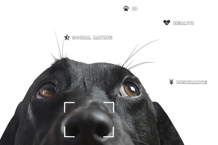 株式会社S’more