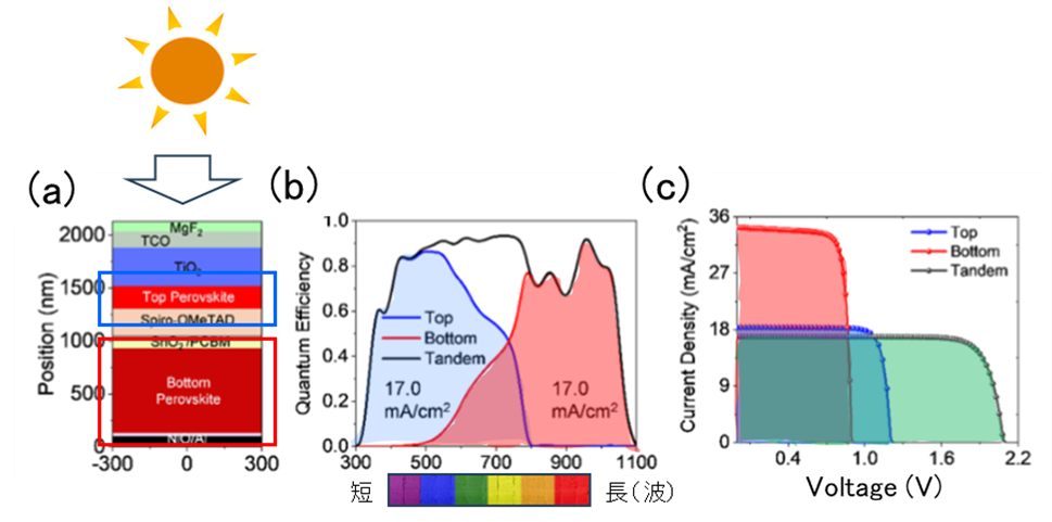 デバイスシミュレーションにより最適化されたトップとボトムセルの分光感度とI-V特性（M. I. Hossain, Md. Shahiduzzamn，T. Taima et al, Solar RRL 2100509（2021）